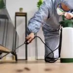 Allentown Retail Pest Control: Protect Your Business